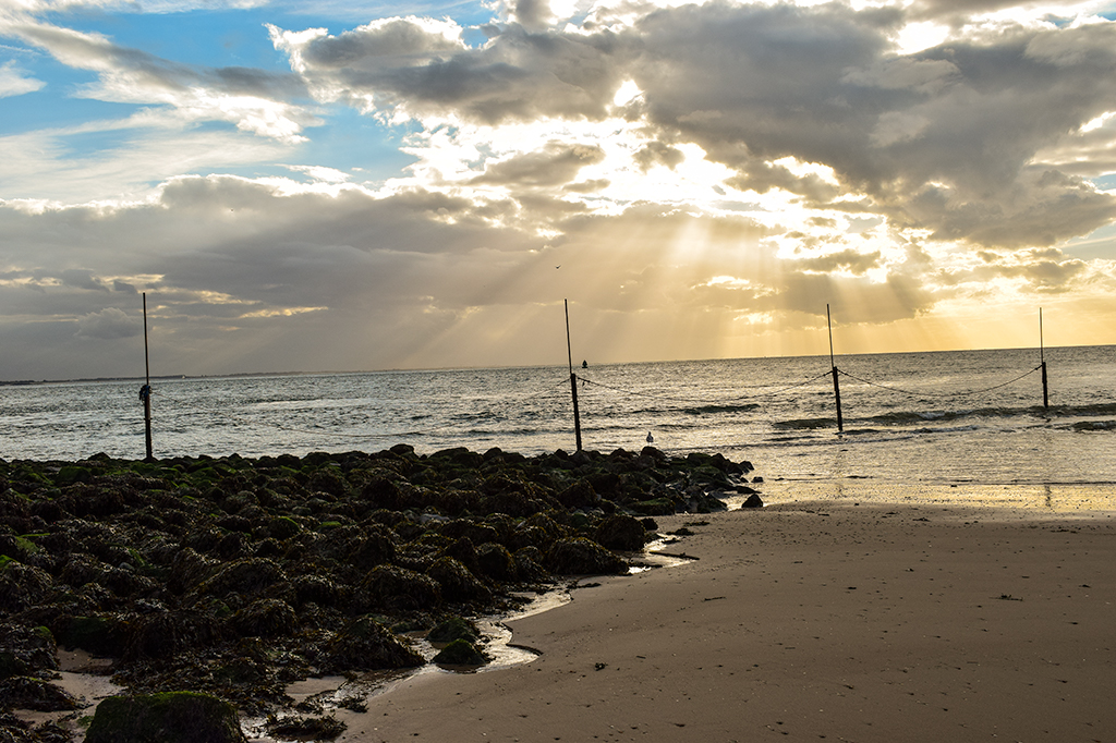 Der Strand von Vlissingen